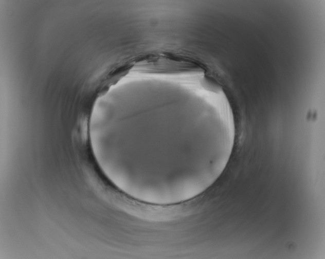 X0000112170027200909041202