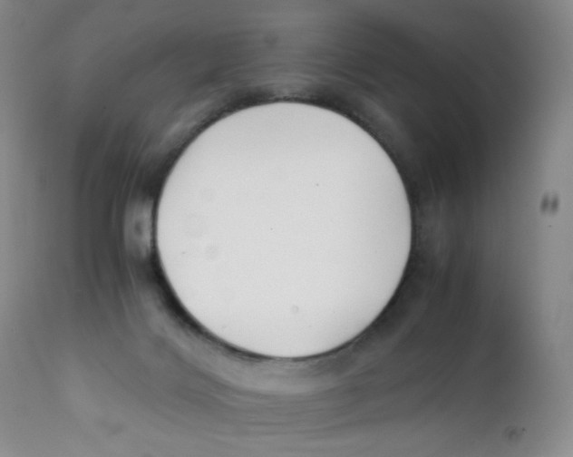 X0000112170028200909041202