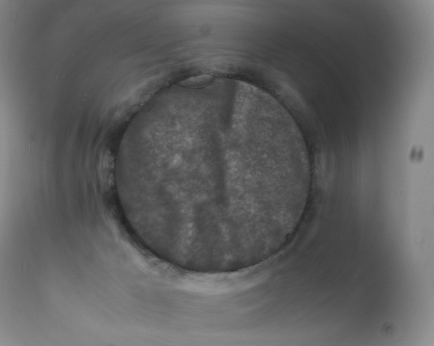 X0000112170029200909041202