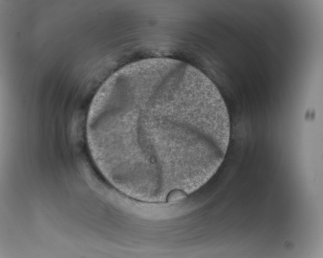 X0000112170030200909041202