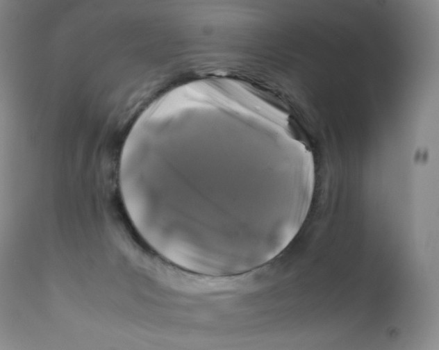 X0000112170031200909041202