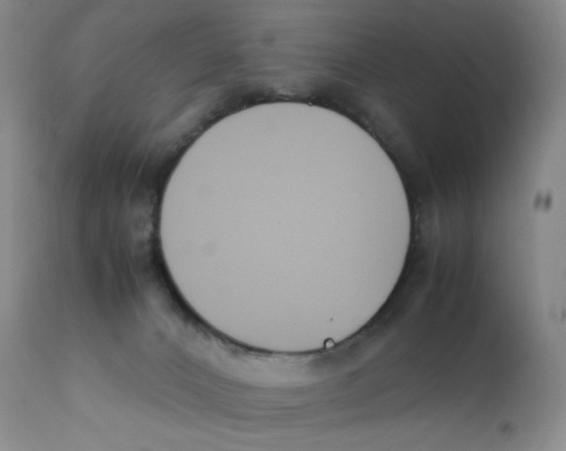 X0000112170032200909041202