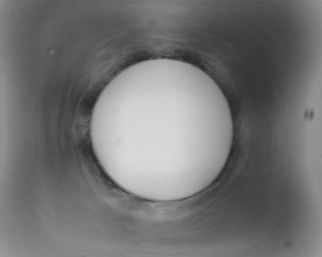 X0000112170033200909041202