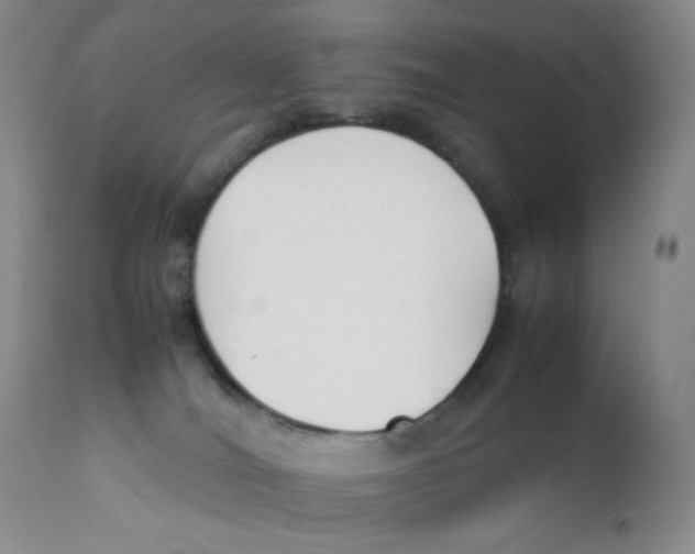 X0000112170036200909041202