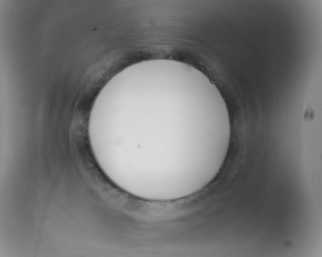 X0000112170037200909041202