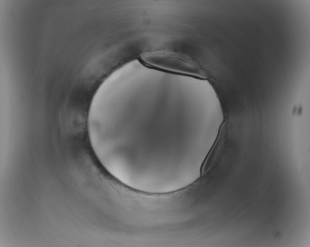 X0000112170039200909041202