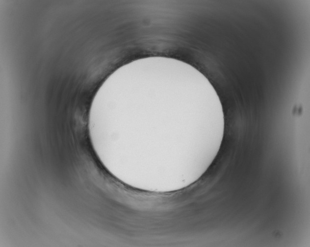 X0000112170040200909041202