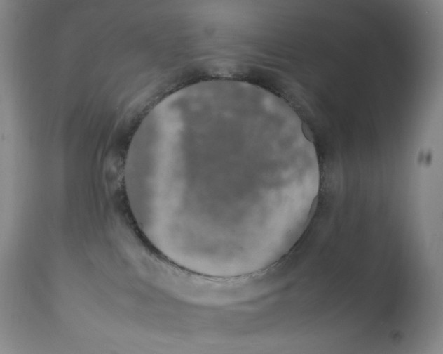 X0000112170043200909041202