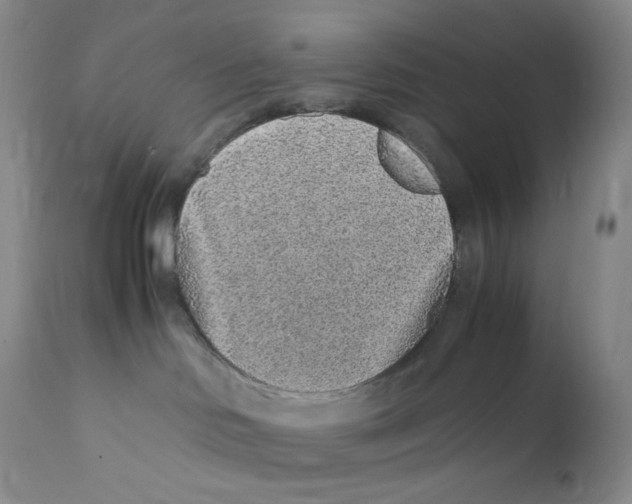 X0000112170046200909041202