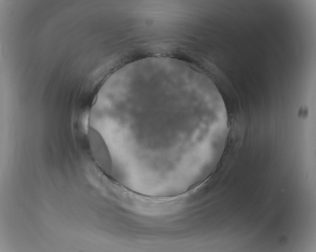 X0000112170047200909041202