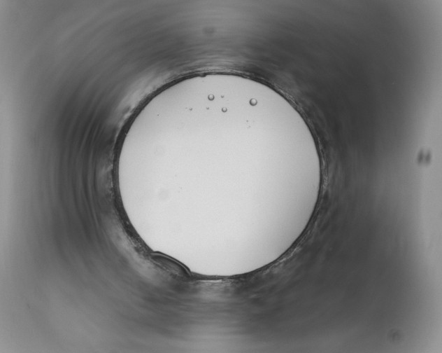 X0000112170050200909041201