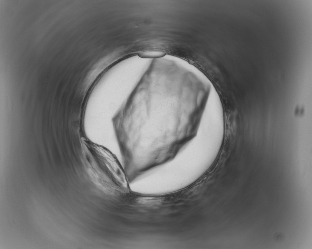 X0000112170051200909041201