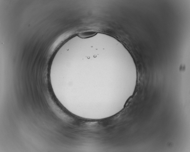 X0000112170054200909041201