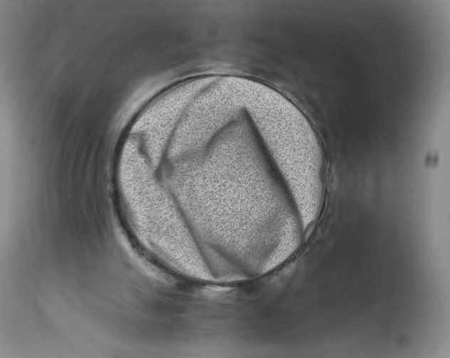 X0000112170055200909041201