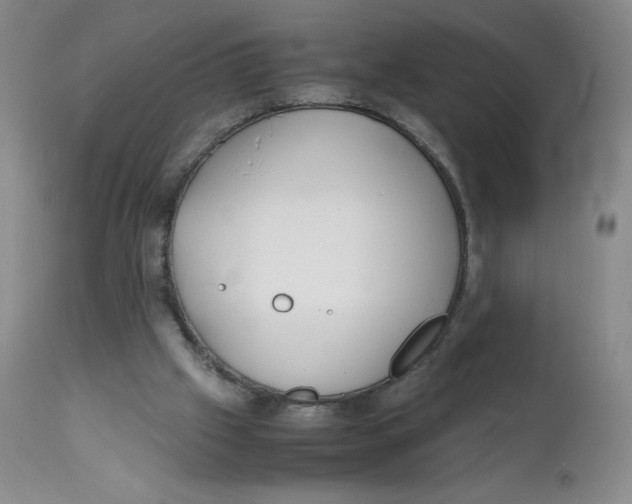 X0000112170057200909041201