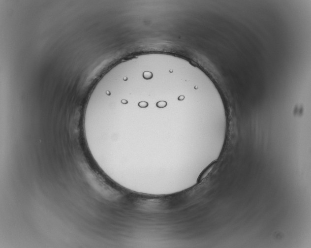 X0000112170058200909041201