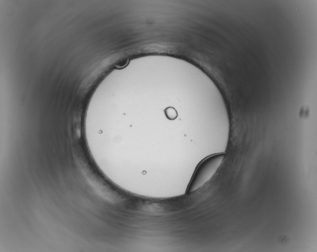 X0000112170062200909041201