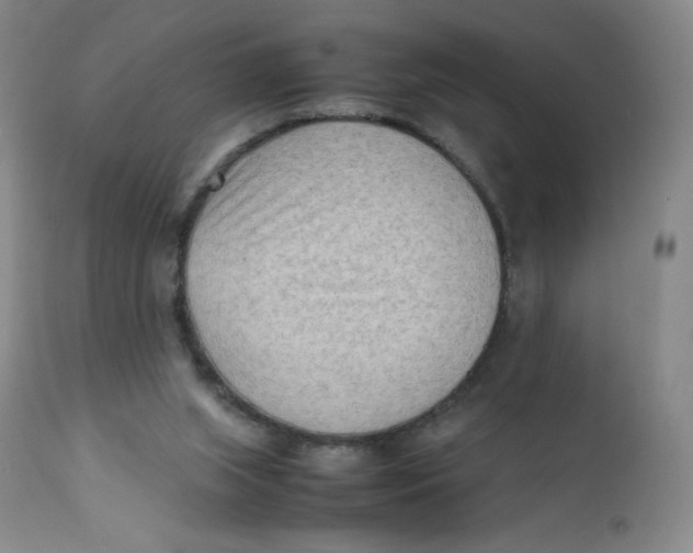 X0000112170063200909041201