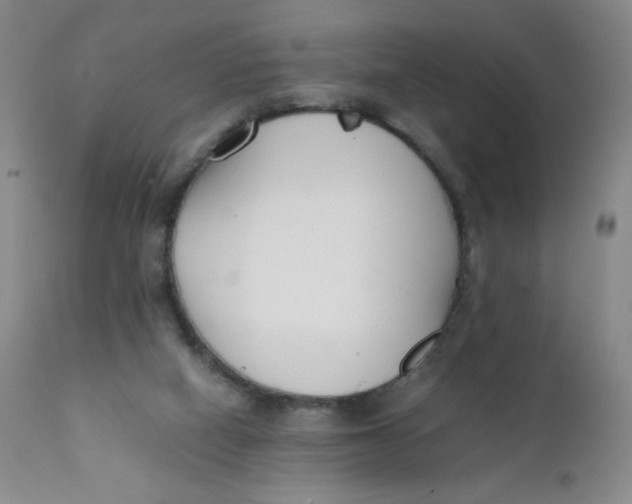 X0000112170066200909041201