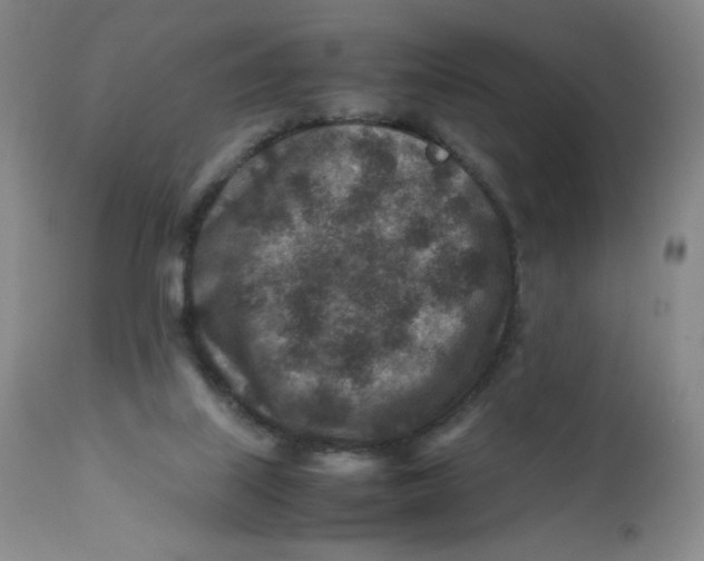 X0000112170067200909041201