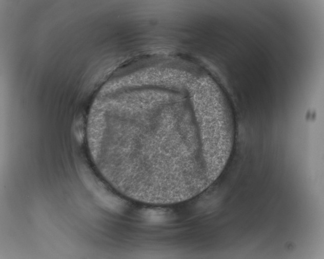 X0000112170069200909041201