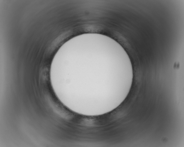 X0000112170071200909041201