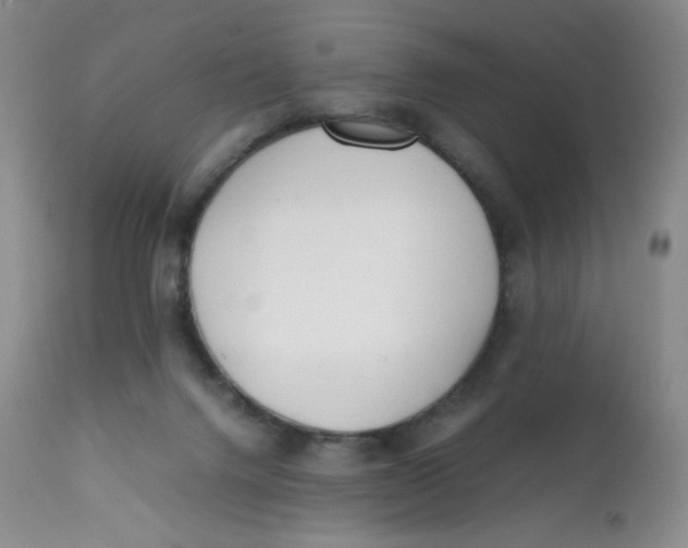 X0000112170072200909041201