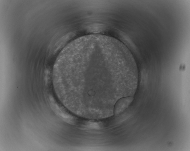 X0000112170073200909041201