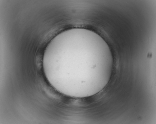 X0000112170074200909041201