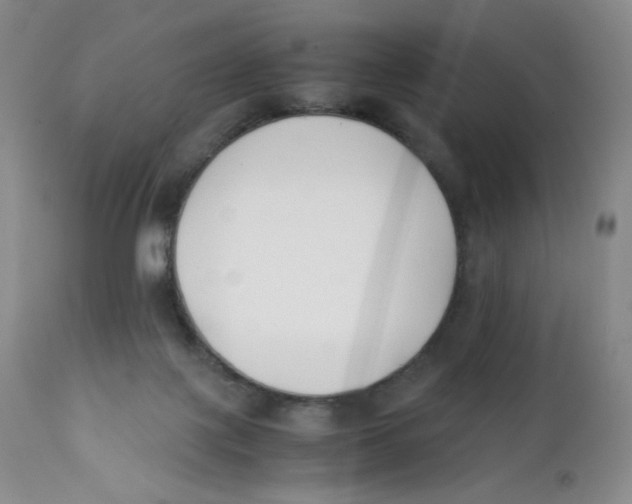 X0000112170075200909041201