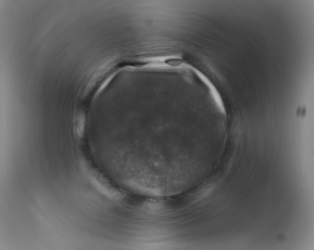 X0000112170076200909041201