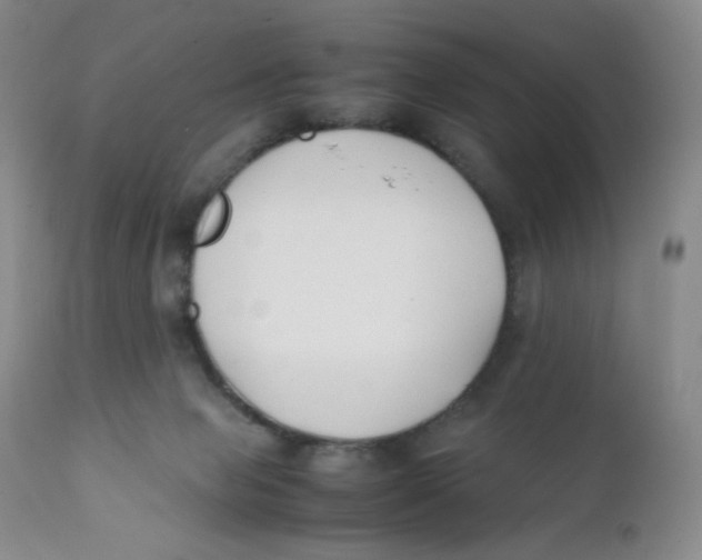 X0000112170077200909041201