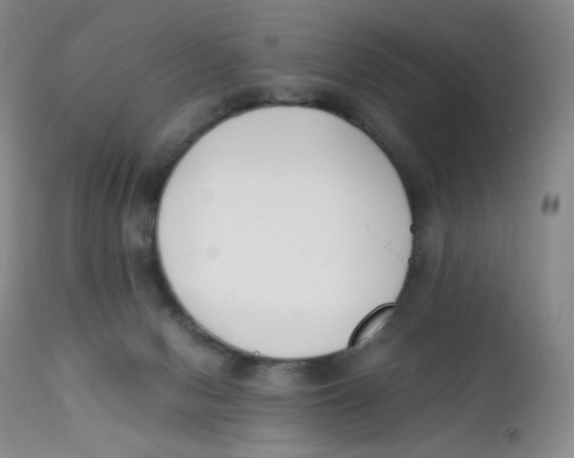 X0000112170078200909041201