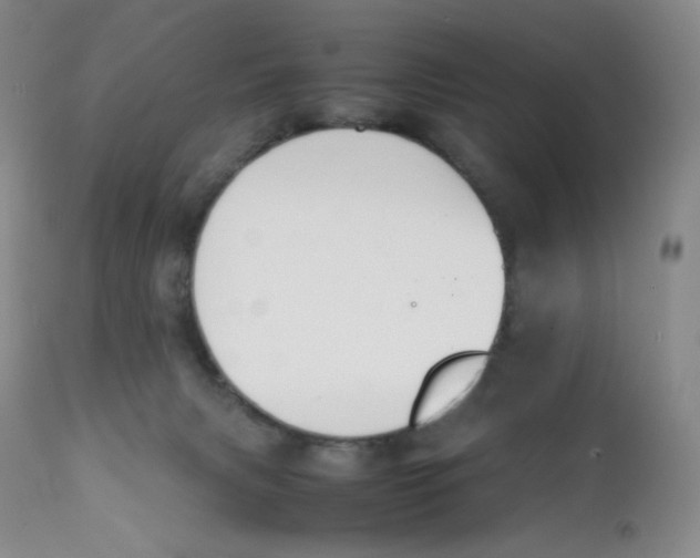 X0000112170079200909041201