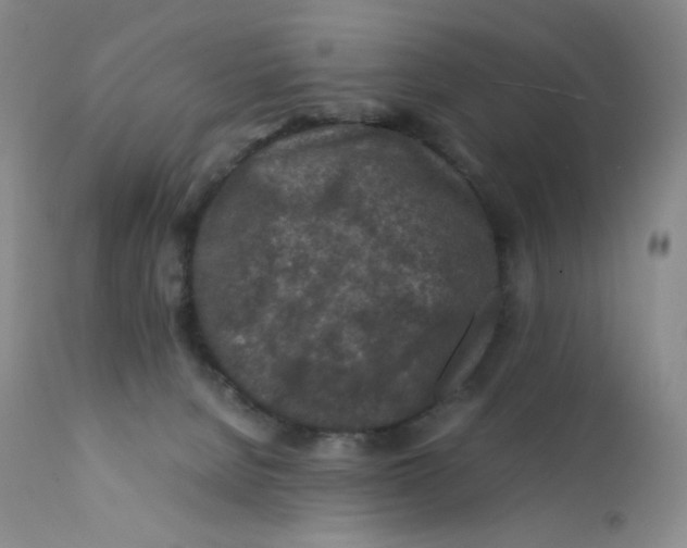 X0000112170080200909041201