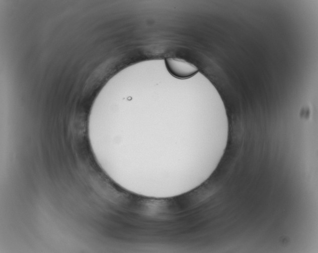 X0000112170085200909041202