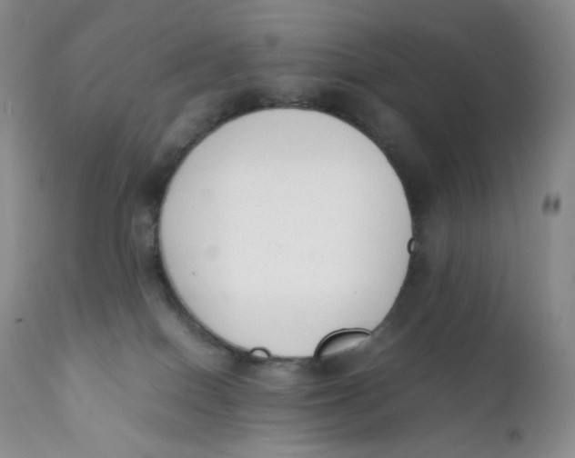 X0000112170086200909041202