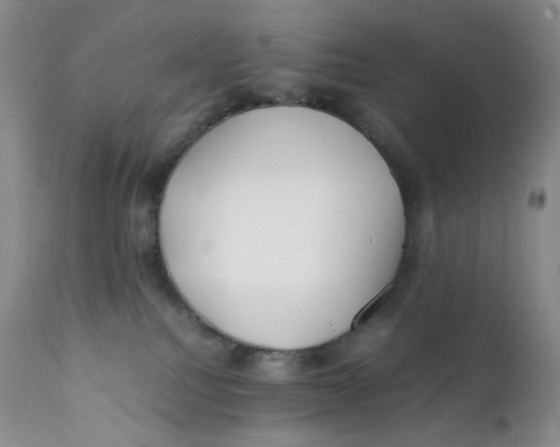 X0000112170088200909041202