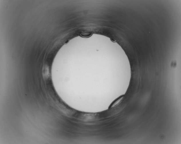 X0000112170089200909041202