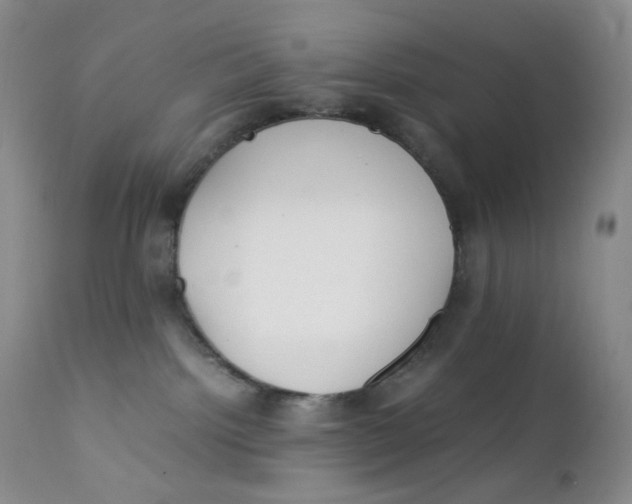 X0000112170092200909041202