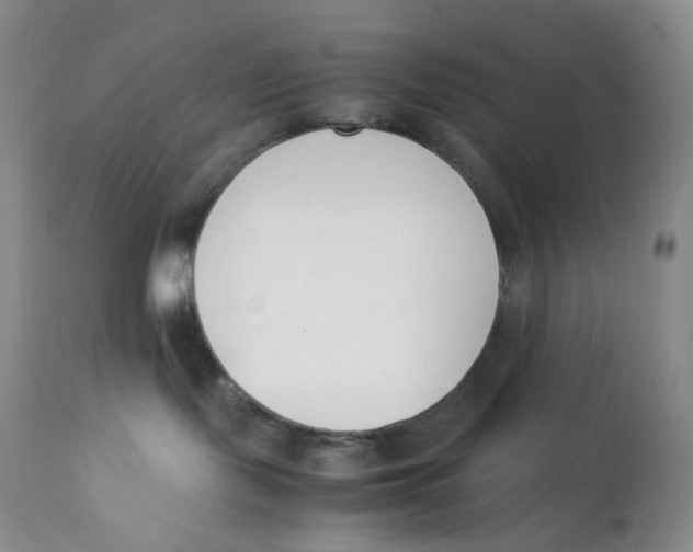 X0000112170095200909041202