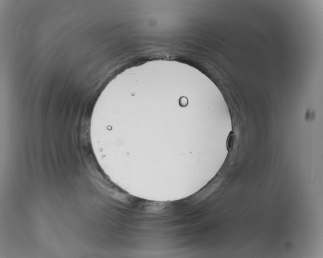 X0000112170096200909041202