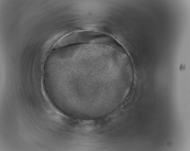 X0000112170097200909041201