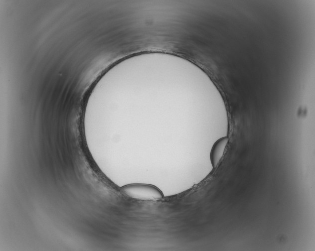 X0000112170098200909041201