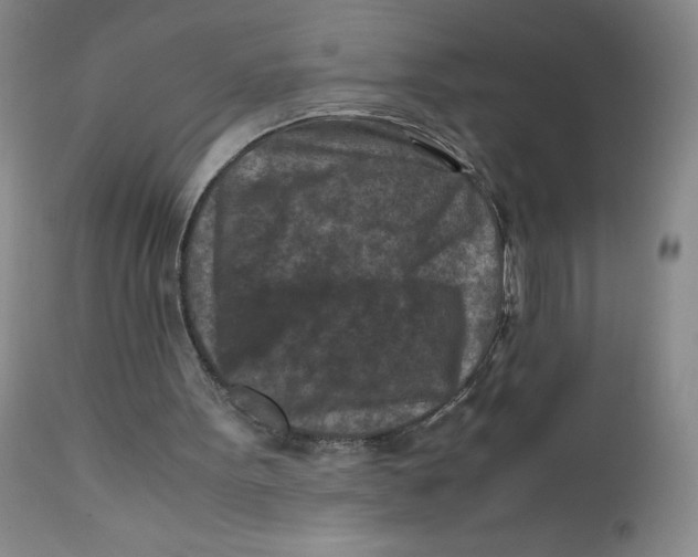 X0000112170099200909041201