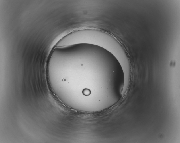 X0000112170100200909041201