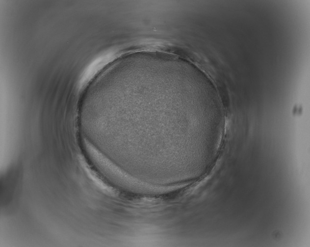 X0000112170101200909041201