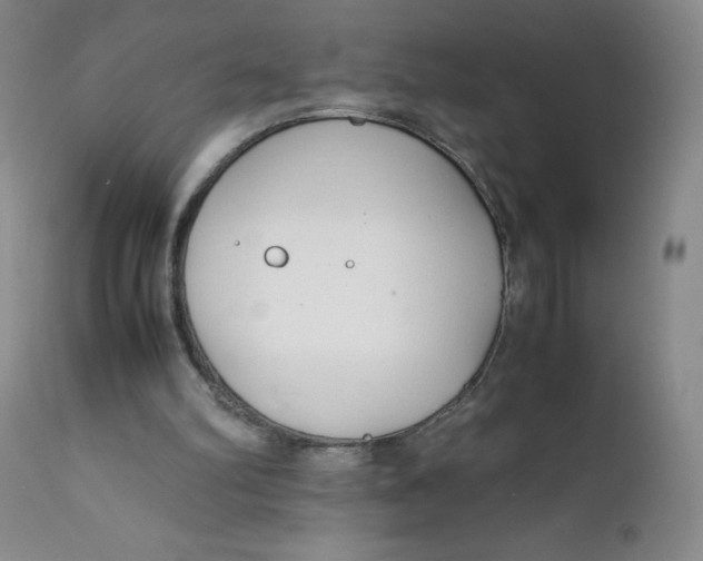 X0000112170102200909041201