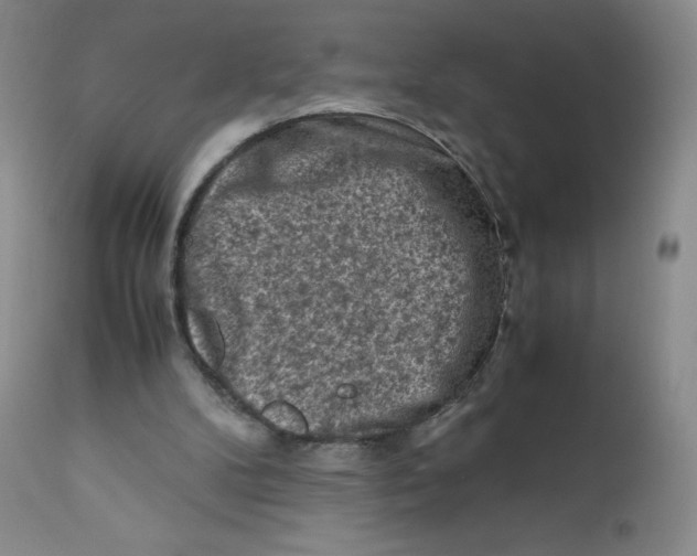 X0000112170104200909041201