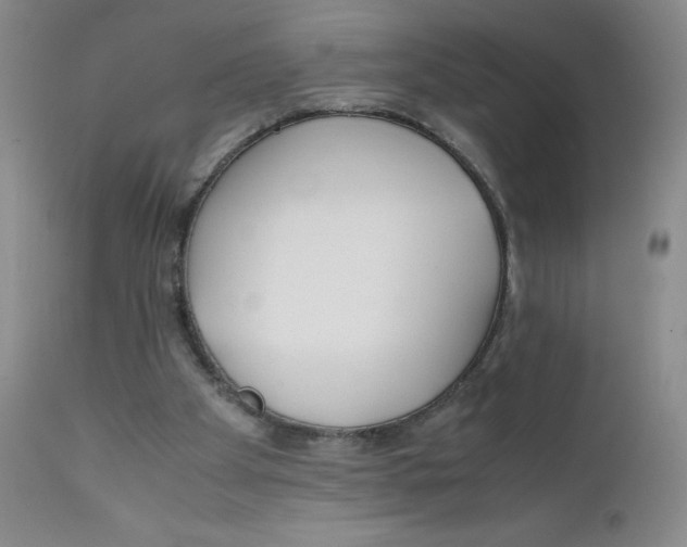 X0000112170105200909041201